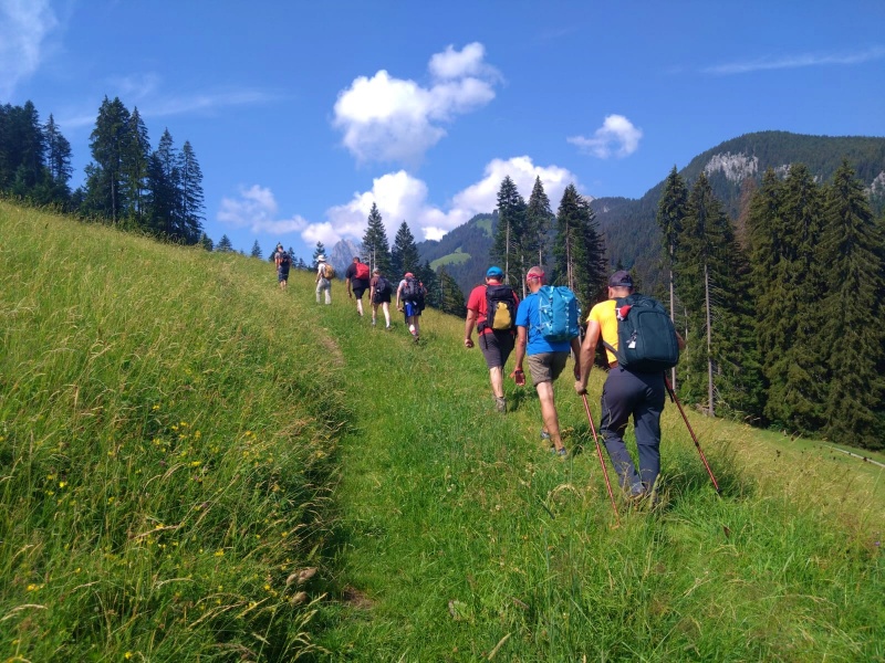 Slide 1